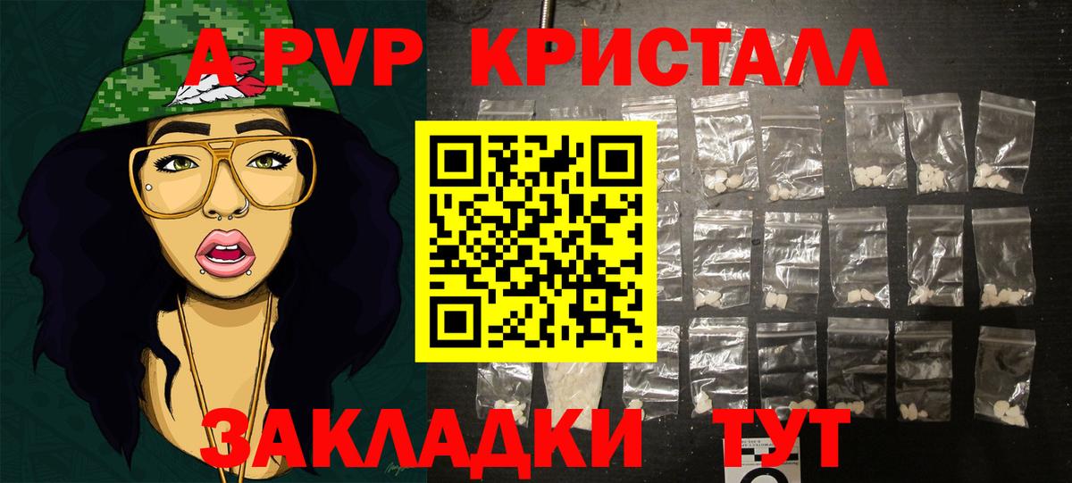 Альфа ПВП СК КРИС Краснознаменск
